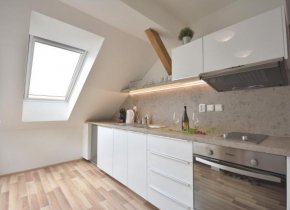 Гостиница Apartmán Skryjova  Брно
